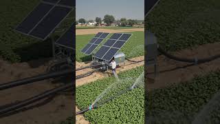 “सोलर से चलने वाली सिंचाई मशीन ने किसानों को कर दिया हैरान 😱”#shorts #ytshorts #agriculture #solar