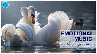 Most Beautiful Emotional Music - Classical Soft Piano Music - My Love For You Remains - Mindfulness screenshot 5