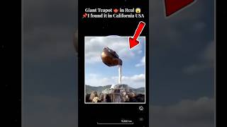 I Found Giant Teapot Geo At The End