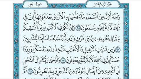 تلاوة سورة النحل من الآية 65  إلى الآية 69