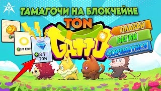 Gatto - играй и получай TON без вложений!