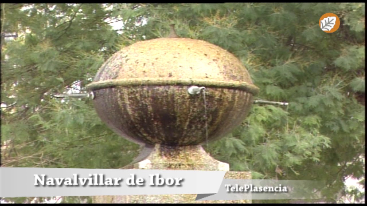 NAVALVILLAR DE IBOR - VIDEO DE TELEPLASENCIA