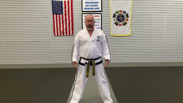 Chon-Ji Instructional Video (stances, footwork, an...