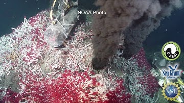 15 Second Science en Español - Microbial Dark Energy