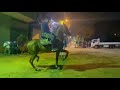 رقص خيل محمد جمعة البراجيلي و شيخ المساعيد 2023