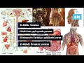 Meyve, Sebze Yerken Hiç Düşündünüz mü ❓