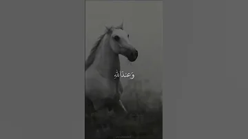 ولرب نازلة يضيق لها الفتى ذرعا 