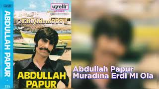 Abdullah Papur - Muradına Erdi Mi Ola Resimi
