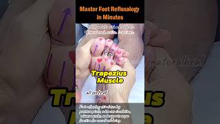 Master Foot Reflexology in Minutes