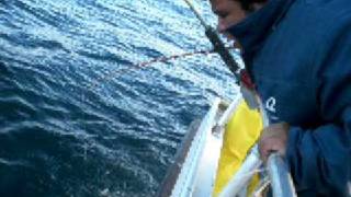 Part 2 - Feeding the Fish