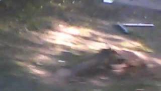 bmx dirt jumps