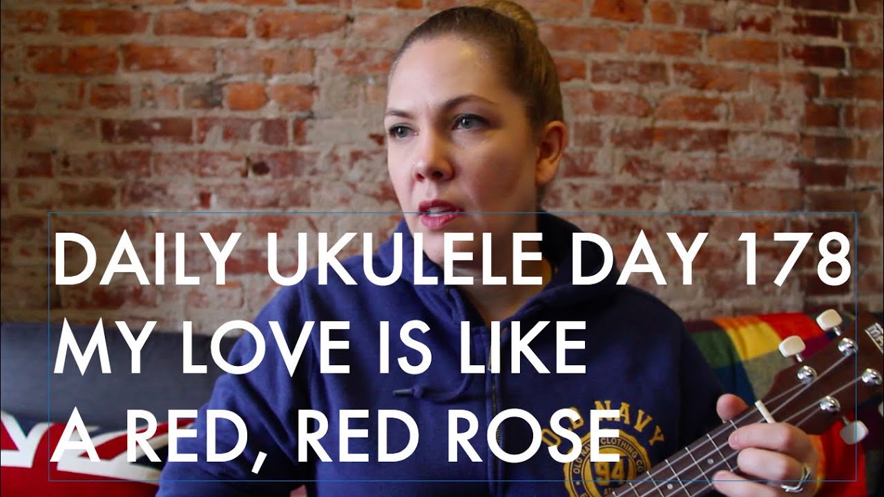My Love is Like a Red Red Rose ukulele cover Daily Ukulele DAY 178