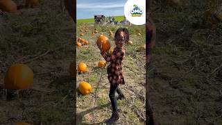 🎃 OmoBerry Visits the Pumpkin Patch: "P is for Pumpkin" Phonics Song 🍂 #happyhalloween #pumpkinfarm