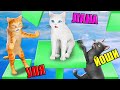 ОББИ, НО МЫ КОШКИ! ПРЕВОСХОДНО... Roblox Obby but u&#39;re a cat