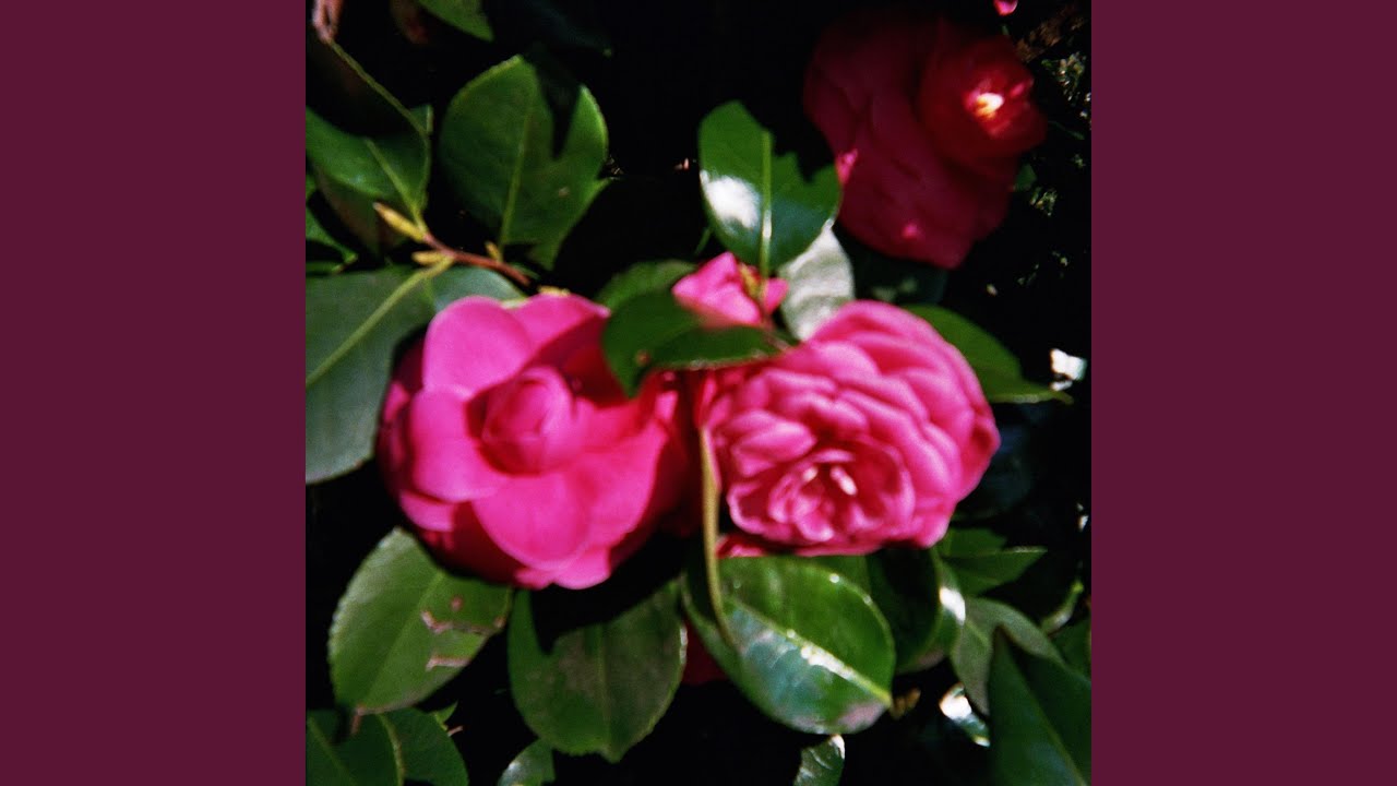 Somehow Claire adlı videoyu YouTube'da izle Somehow Claire adlı videoyu YouTube'da izle