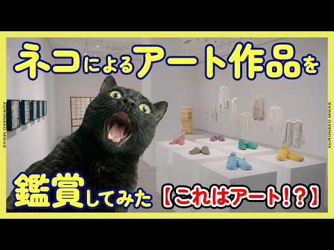[Cat Destructive Art Exhibition] I tried to appreciate artworks by cats [Is this art?!]