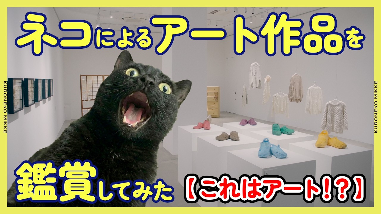 【ネコの破壊美術展】ネコによるアート作品を鑑賞してみた【これはアート！？】