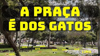 Costa do Pacifico | O retorno - Lima parte 1