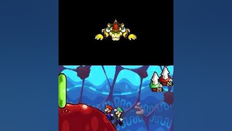 Mario and Luigi Bowser