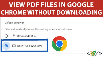 How to View PDF Files in Google Chrome Without Downloading | Enable Chrome PDF Viewer