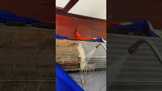 How to ac water service || ac service kaise kare || ac jett service