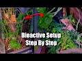 Crested Gecko Bioactive Hybrid Setup! Complete Guide 2025