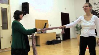 Art Of The Song - Masterclass Evelyn Tubb Michael Fields