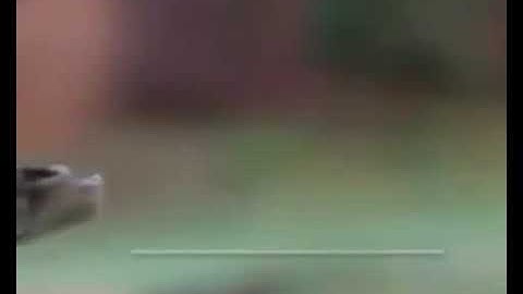 حالات وتس أب (فضل قراءة القرآن الكريم)