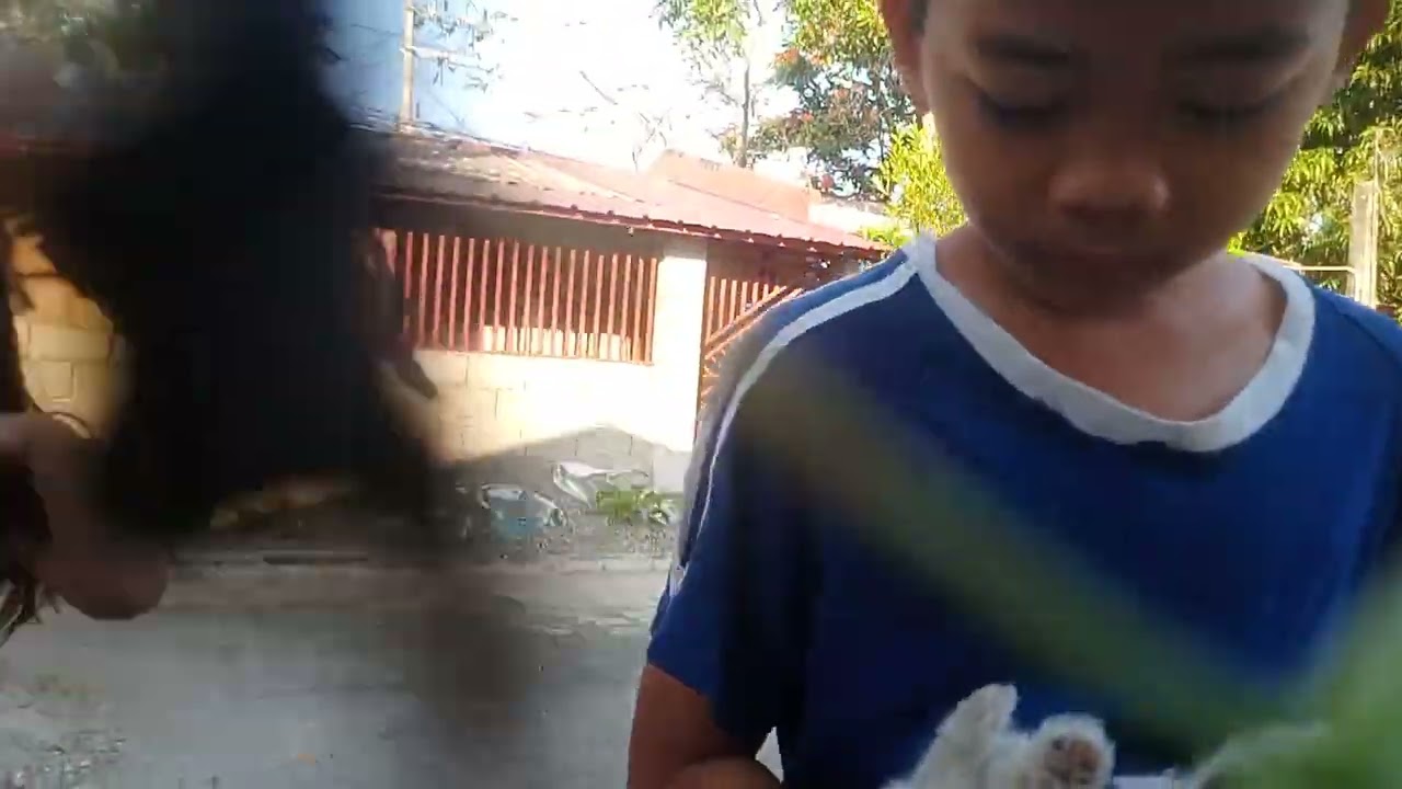 Combine ko Yung halamang gamot 