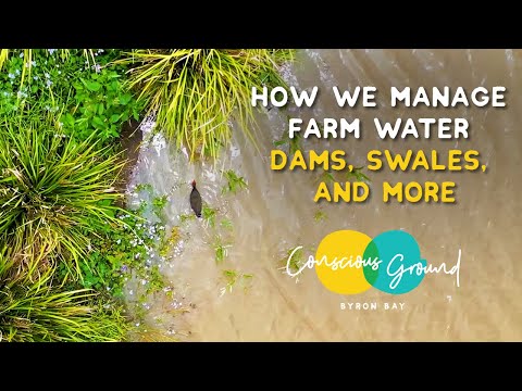 Video: When To Feed Aquatic Plants: How Is Feeding Damplants Different