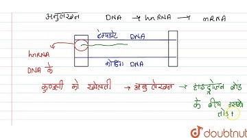 अनुलेखन के समय DNA की कुण्डली को खोलने में कौन सा एन्जाइम सहायता करता है? | 12 | सॉल्वड पेपर-202...