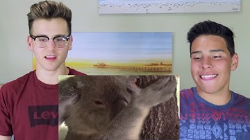 Try To Watch This Without Yawning Challenge