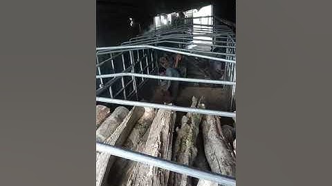 Cung cấp củi đốt lò hơi số lượng lớn.  Chất lượng ổn định