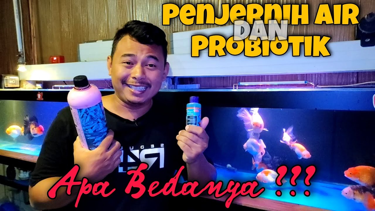 PROBIOTIK VS PENJERNIH AIR - APA BEDANYA ❓❓❓