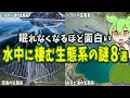 【総集編】眠れなくなるほど面白い!海・湖・川などの水中に棲む生態系の謎8選【ずんだもん解説】