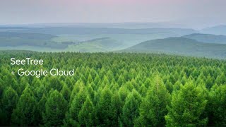 SeeTree: Helping offset forests’ carbon with rapid machine learning insights