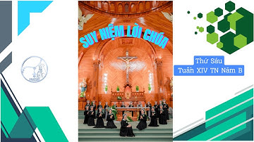 Thứ Sáu Tuần XIV Thường Niên Năm B-#dongmancoibuichu#