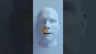 #jimnewman #nondualism #nonduality #nondualiteit #advaita #awakening #awareness