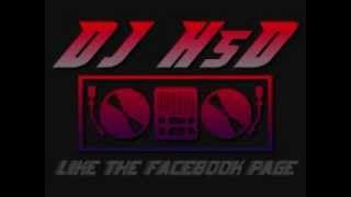 Bhangra MegaMix 2012 - Dj HsD