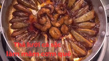 GIĂNG LƯỚI CÁ SẶC LÀM MÂM CƠM QUÊ II Chị Bảy Miền Tây #4