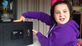 How To Change PIN Code on Viking BL-Line of safes?