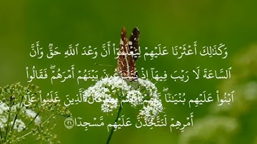 من قرأ سورة الكهف يوم الجمعة أضاء له من النور ما بين الجمعتين