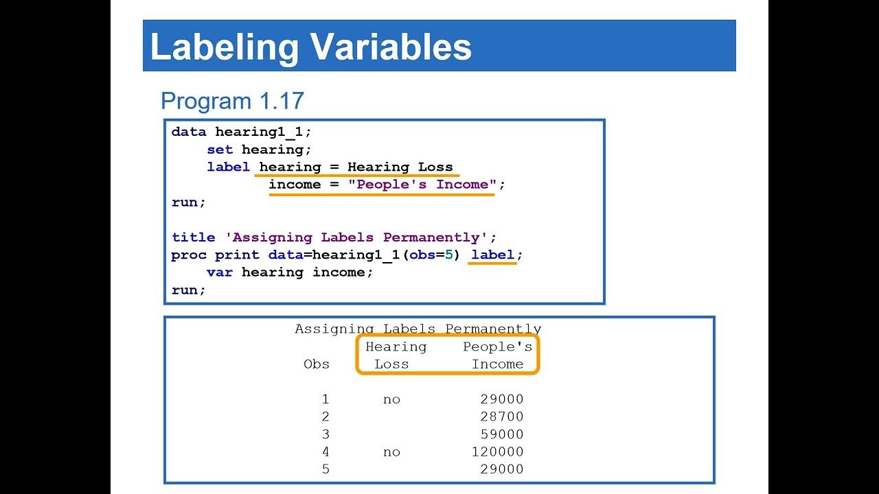 Intro to SAS (part-3) | Subsetting Data | Labeling variable names ...