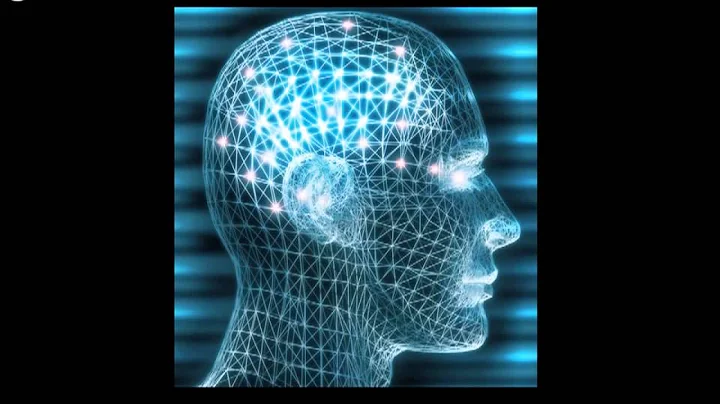 1 Minute Insight  Why Bilingual Brains Rock!