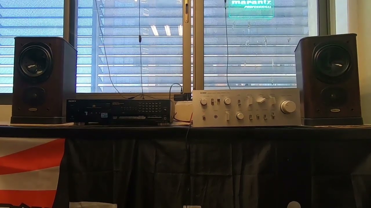TANNOY TD-20 ROSEWOOD PLUS スピーカー ペア 音響機材 タンノイ