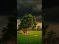 কালবৈশাখী ঝড় #aishorts #shortstips