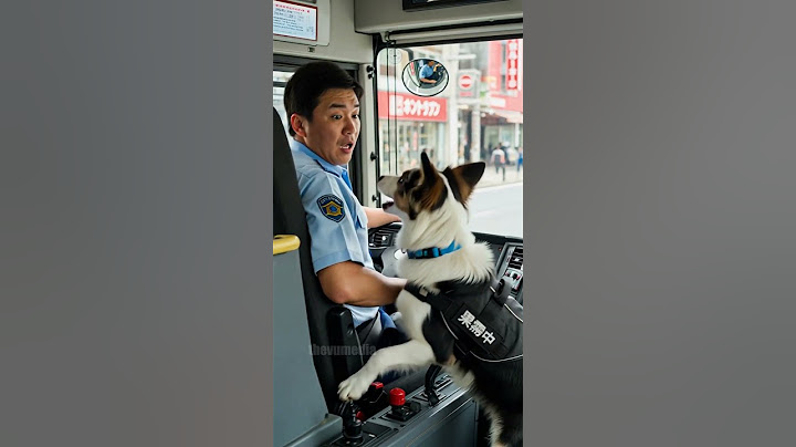 Quick-thinking dog saves bus passengers from disaster! #rescue #animals #pets