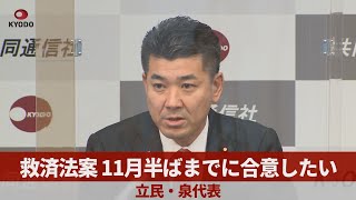 救済法案、11月半ばまでに合意したい 立民・泉代表