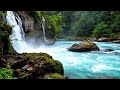 Waterfall and River Sounds for Stress 🌌 Help You Relax and Sleep Better Without Worry Tonight