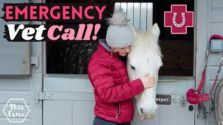 Emergency Vet Call for my Horse! | This Esme